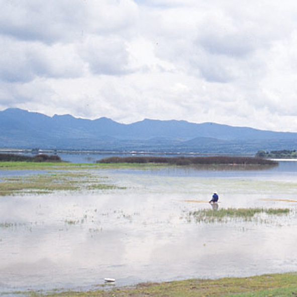 Presa de Atlangatepec